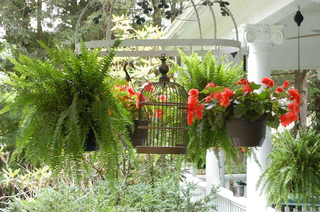 Mountain Laurel Inn Damascus Exteriér fotografie
